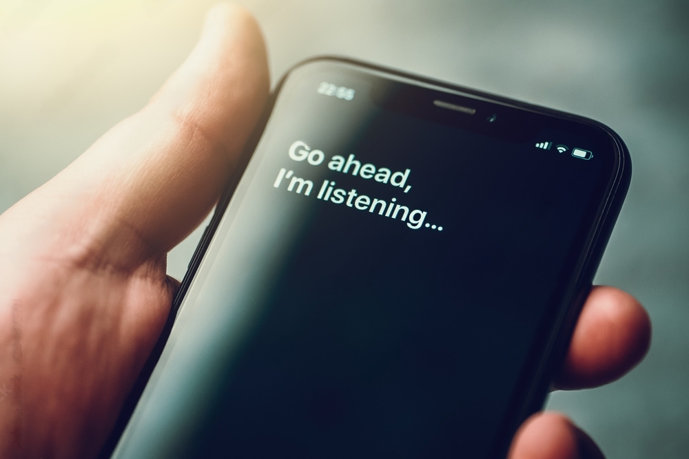 voice assistant